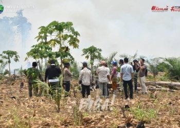 Tangani Karhutla Mangkupadi, Wabup Bulungan Minta Swasta Keroyokan