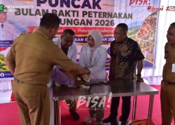 Tekan Ketergantungan Pasokan Luar Daerah: Pemkab Bulungan Dorong Kemandirian Sektor Peternakan dan Pangan Lokal